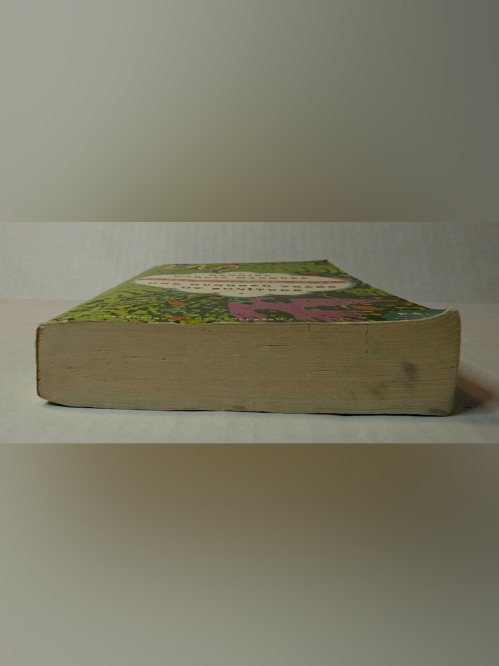 One Hundred Years of Solitude Paperback Book by Gabriel Garcia Marquez - Picture 6 of 11
